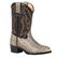 Bota vaquera para niños pequeños Durango con estampado bronceado de serpiente Durango Little Kid, , large