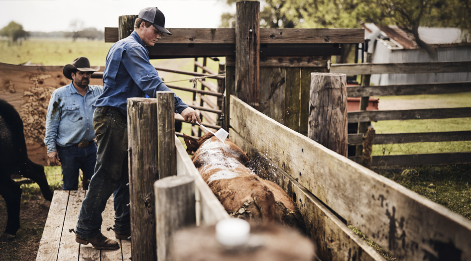 Man wearing Durango ranch boots tending to cattle